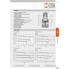 REGOLATORE DI PRESSIONE SY1 - 1/4 012